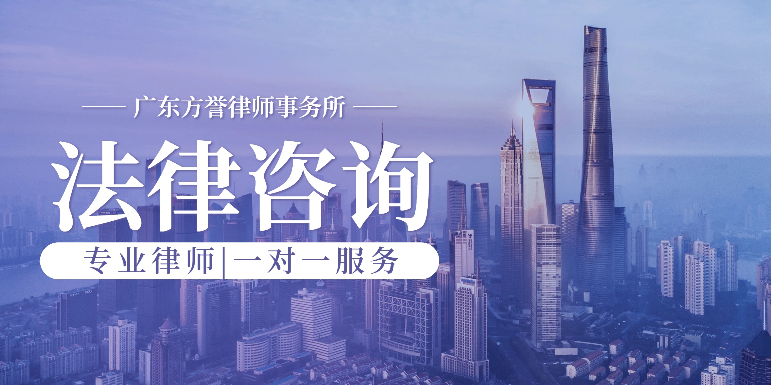 主营业务和领域